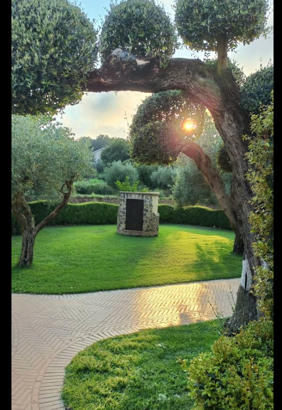 Panoramica Ristorante Il Parco degli Ulivi