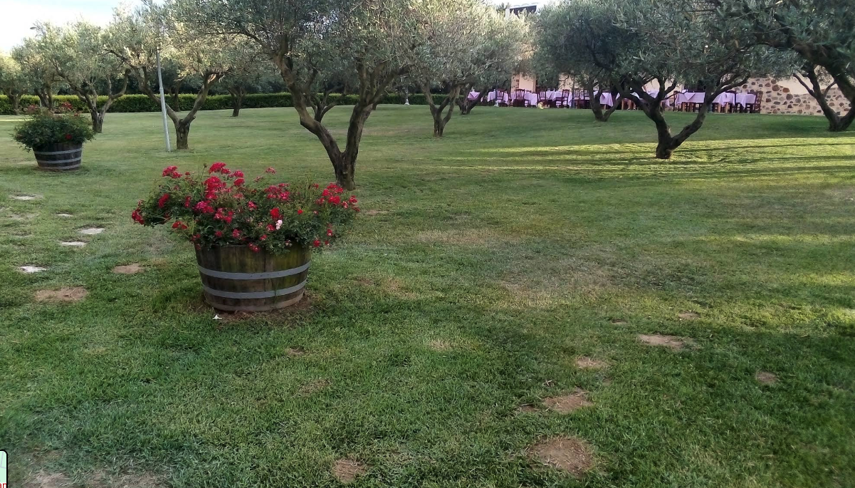 Esterno Ristorante Il Parco degli Ulivi